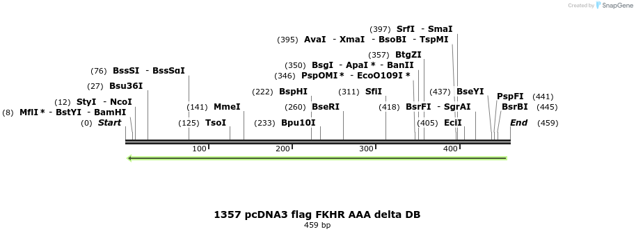 17657_map