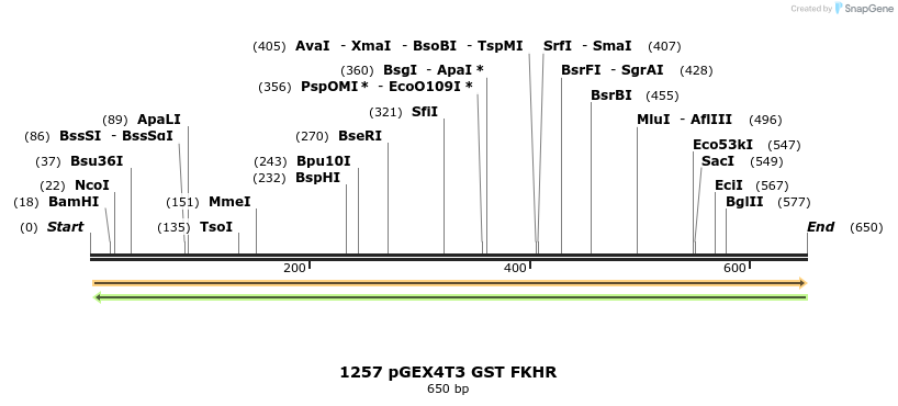 17659_map