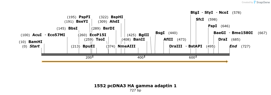 17661_map