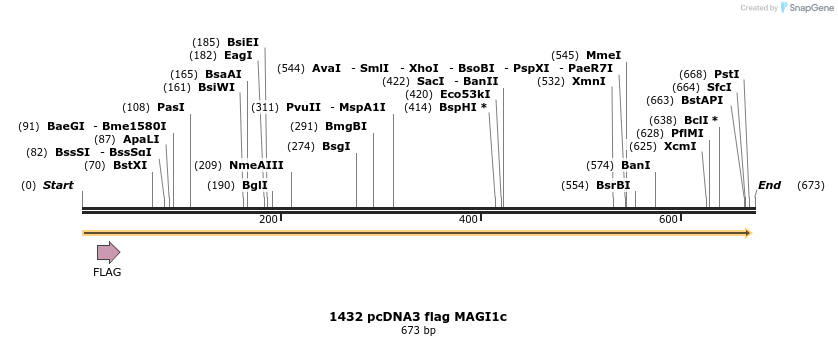 17663_map