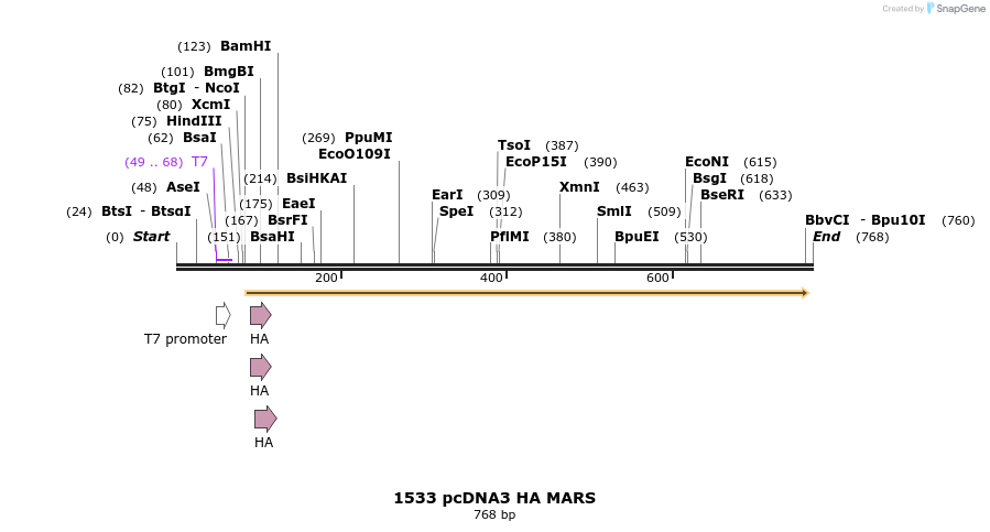 17668_map