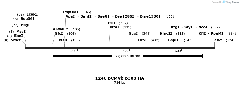 17671_map