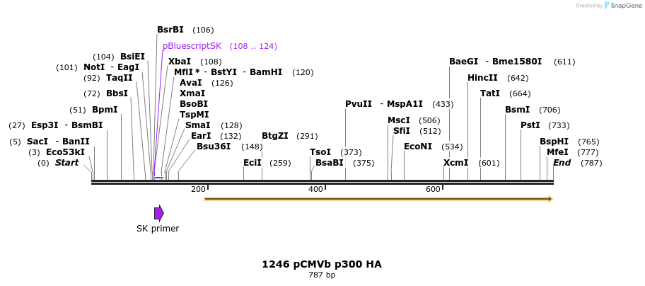 17672_map