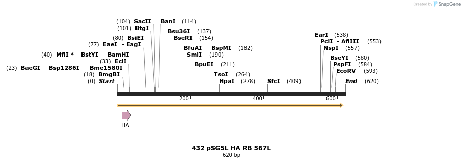 17677_map