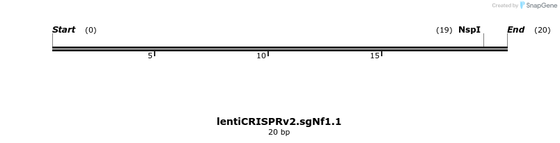 176872_map