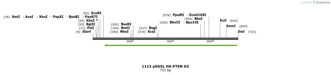 17690_map