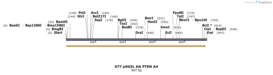 17691_map