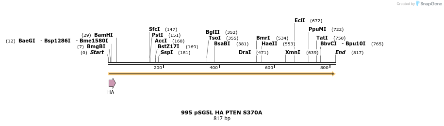 17692_map