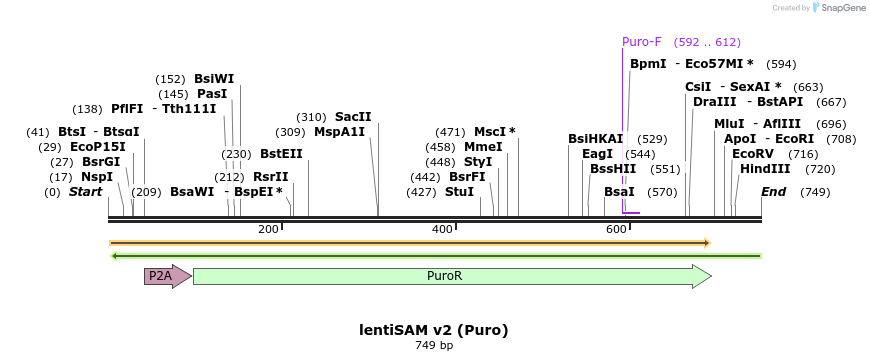 176929_map