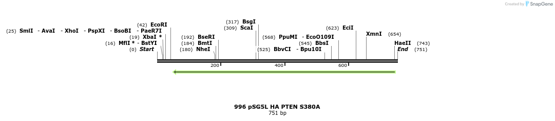 17693_map