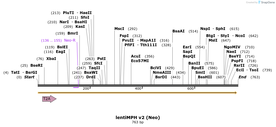 176947_map