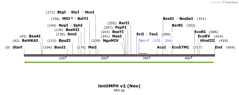 176948_map