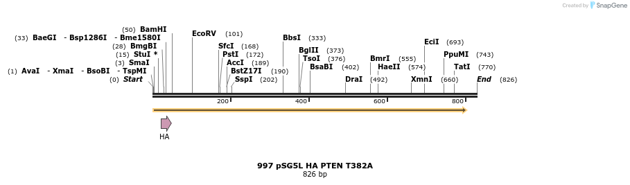 17695_map