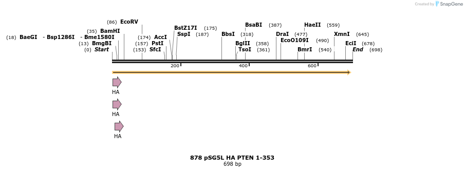 17699_map