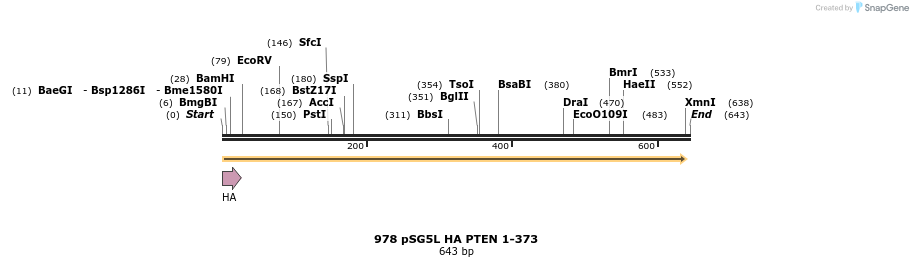 17700_map