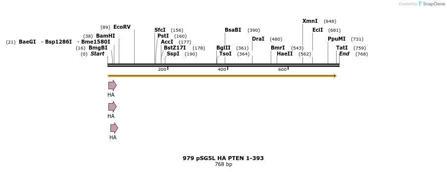 17701_map