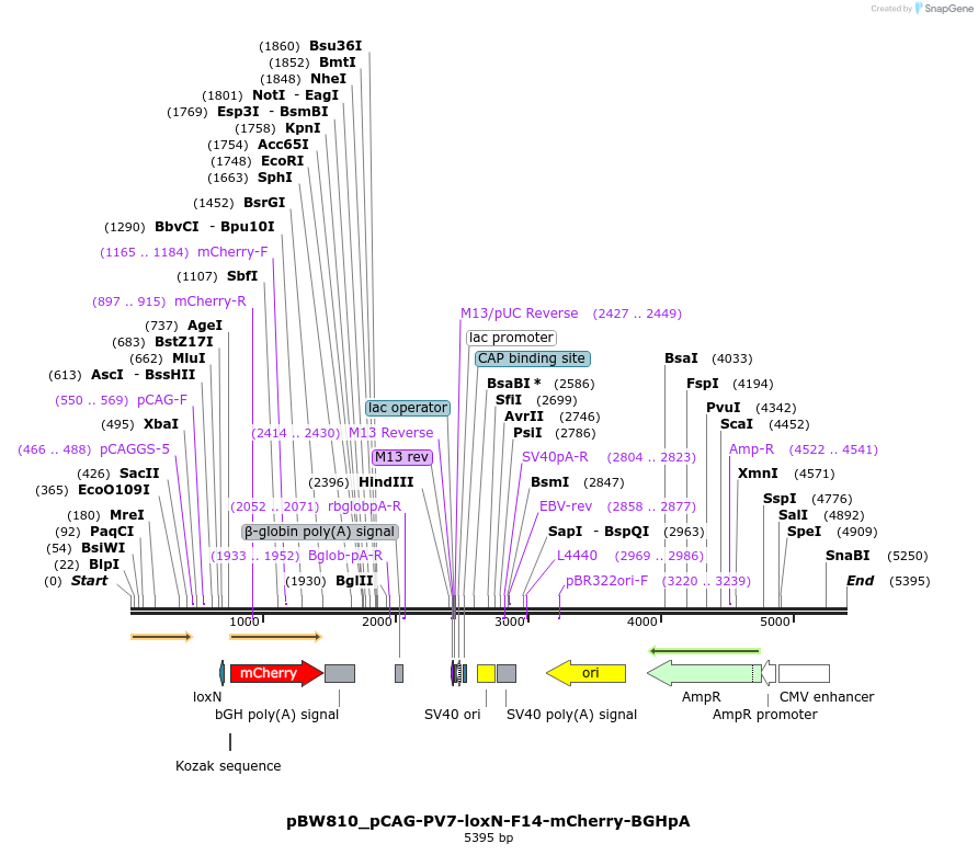 177012_map