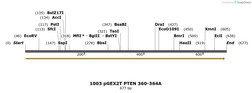17702_map