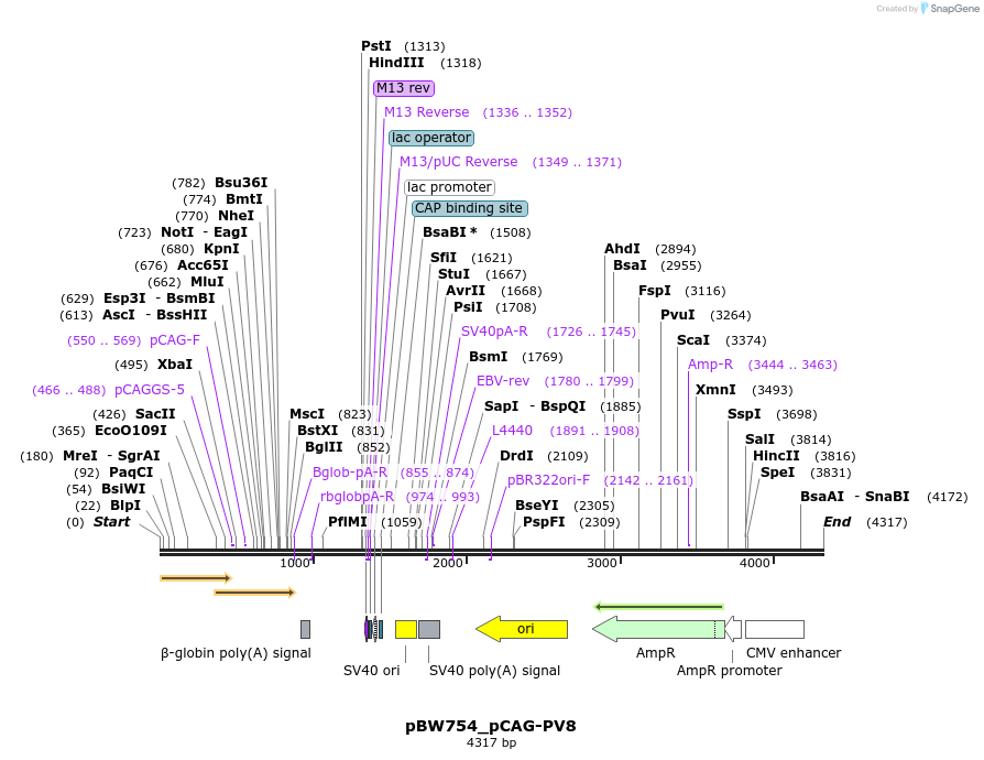 177024_map