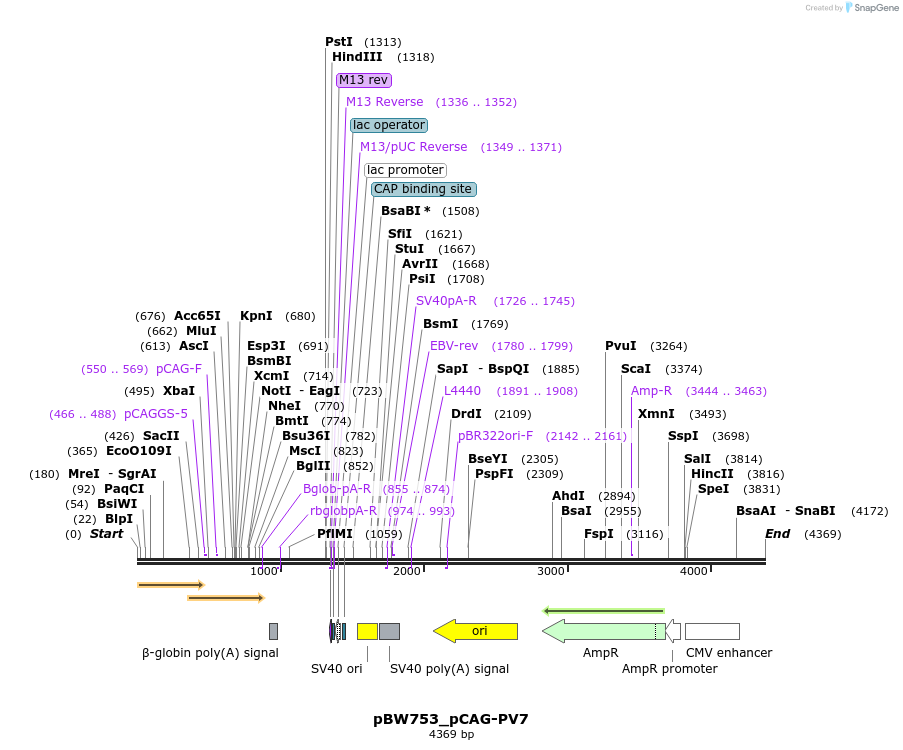177026_map