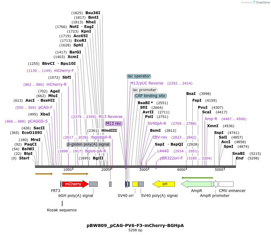177027_map