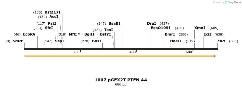 17703_map