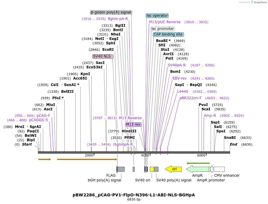 177032_map