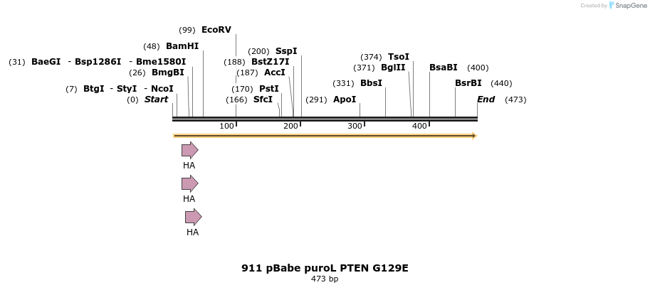 17704_map