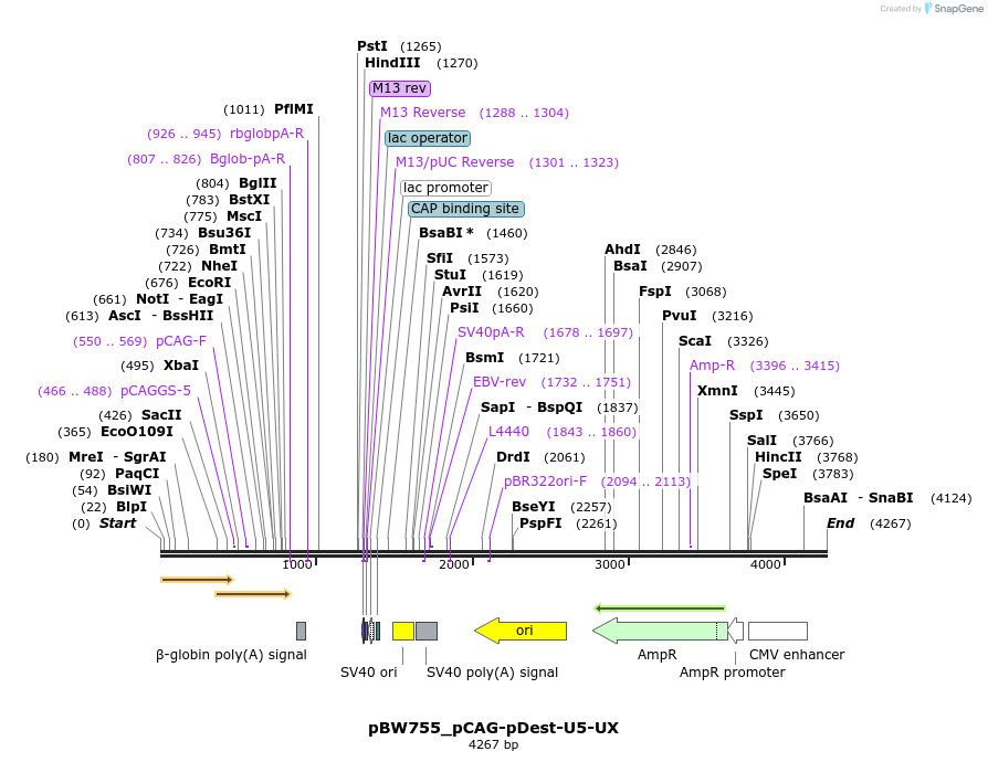 177040_map