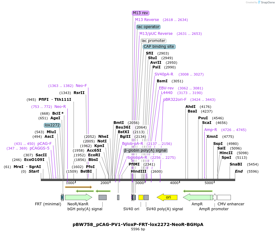 177043_map
