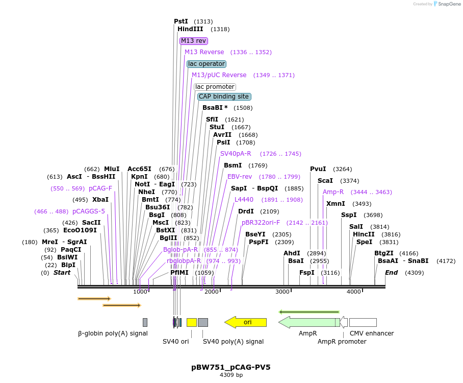177049_map