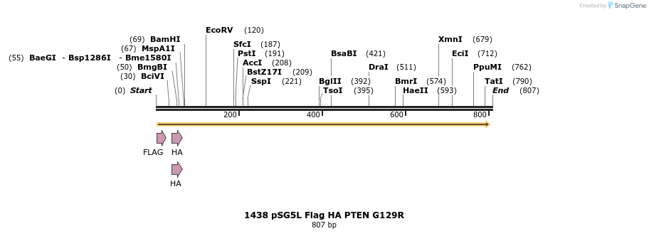 17706_map