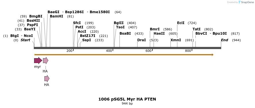 17707_map