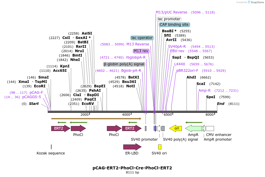 177076_map