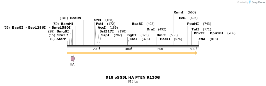 17708_map