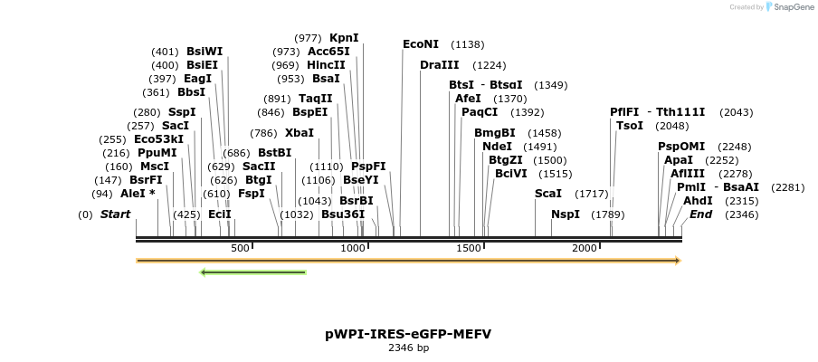 177082_map