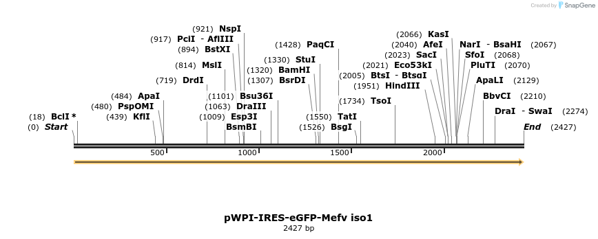 177083_map