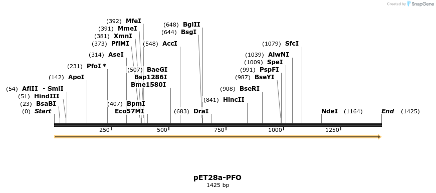 177088_map