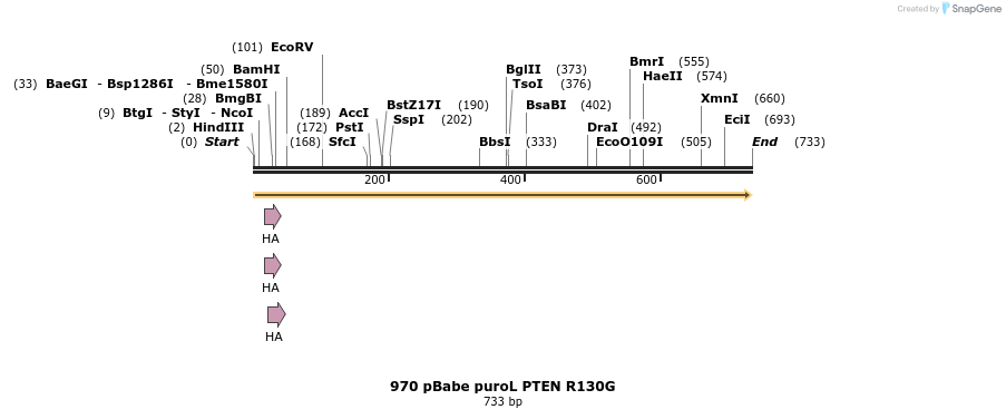 17709_map