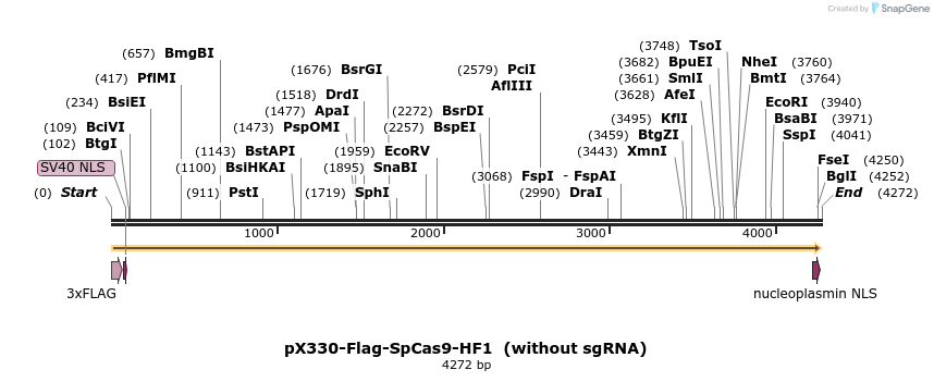177090_map