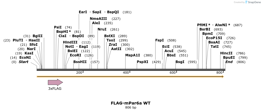 177113_map