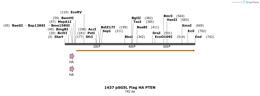 17712_map