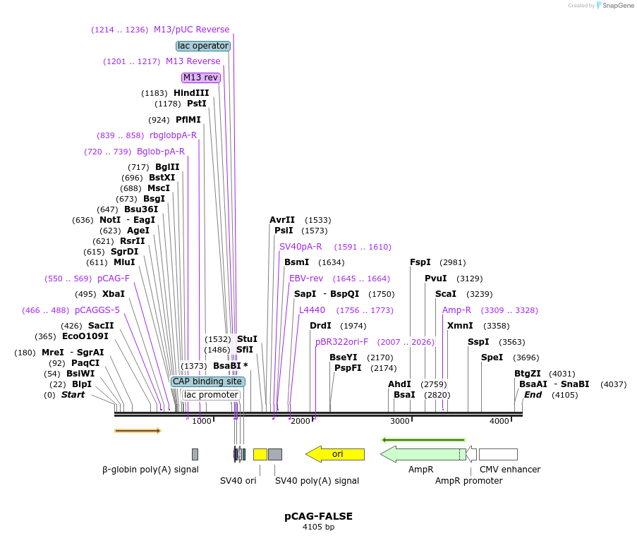177132_map