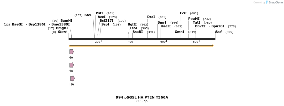 17715_map