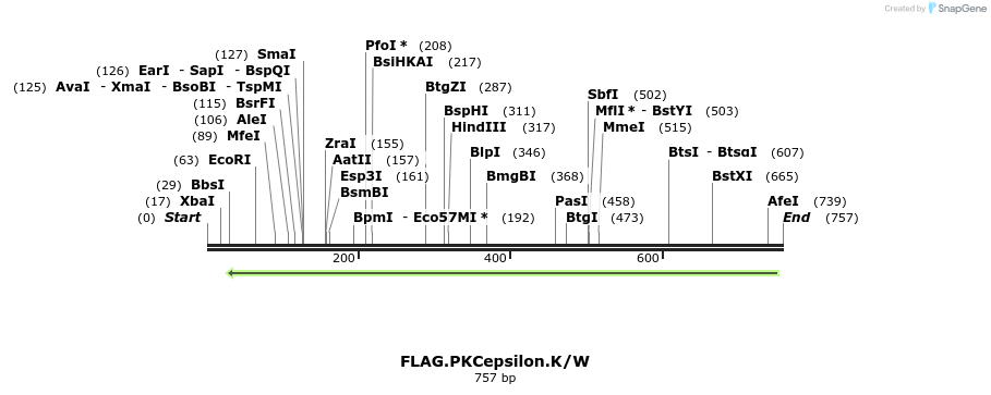 17725_map