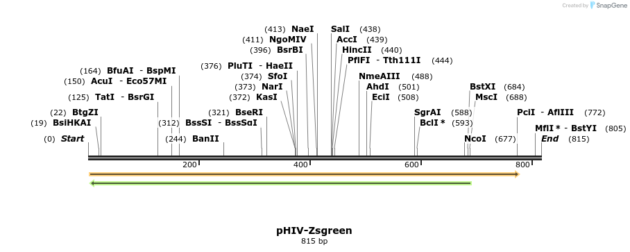 177257_map