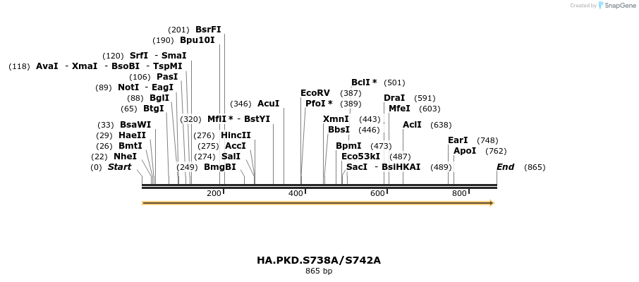 17736_map