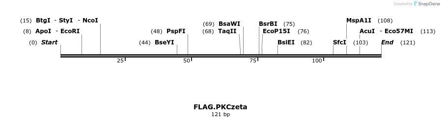 17739_map