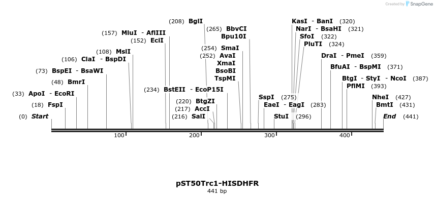 177427_map