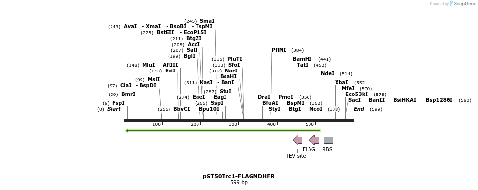 177449_map
